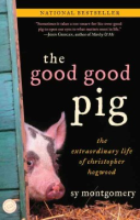 The_good_good_pig